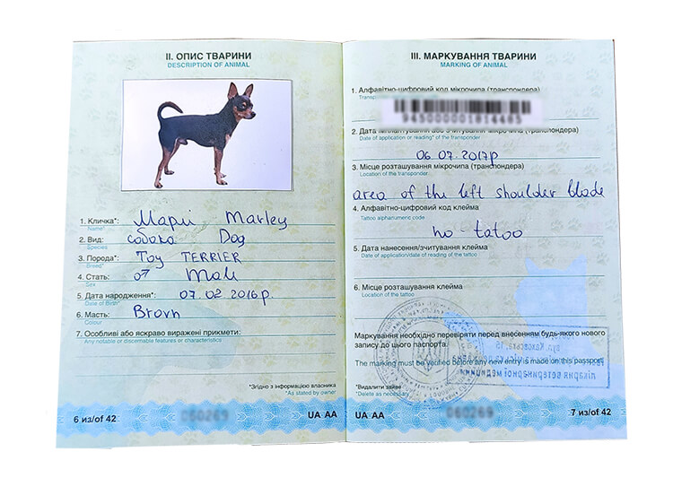 Ветеринарний паспорт собаки